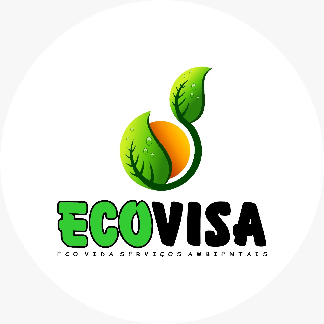 ECO VISA (Logotipo)